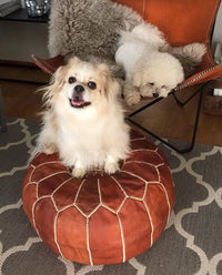 Set of 4 Genuine Poufs - Ettilux Home